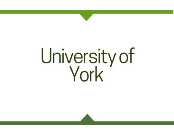 Highest studies in University of York - Toronto, Ontario, Canada, Study Abroad